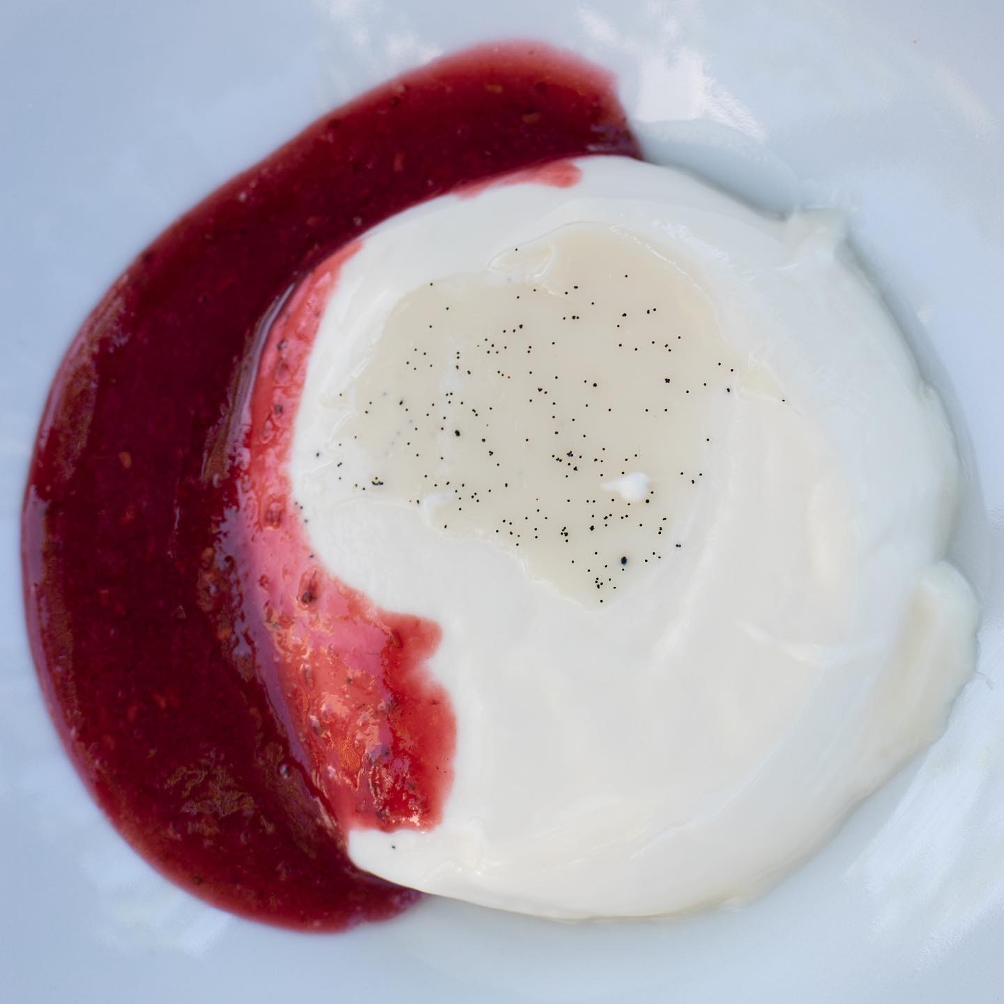 Panna cotta with berry sauce